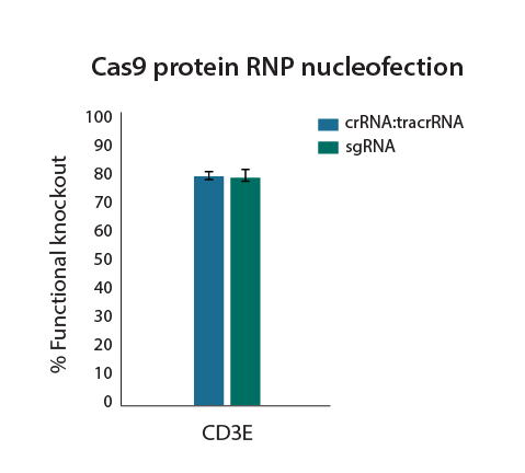 Synthetic guide RNAs and Cas9 nuclease protein electroporated as RNP