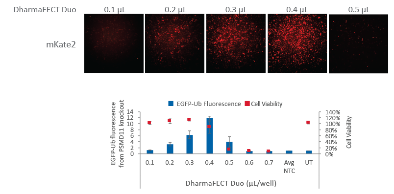 Cas9 nuclease mRNA with fluorescent reporter